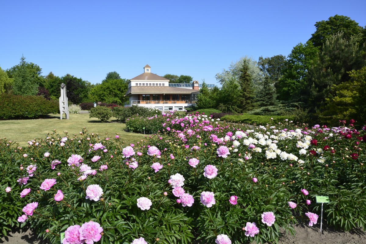 Ogród Botaniczny Poznań Ceny Biletów Ogród Botaniczny UAM w Poznaniu